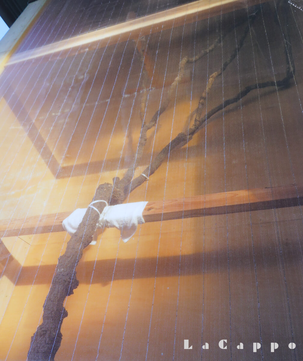 千葉・浦安市・木材市場に出品された南天の床柱