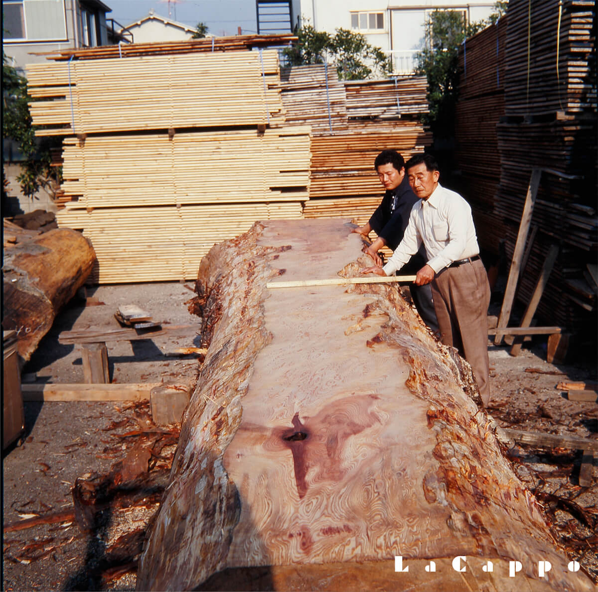 昭和62年に撮影した屋久杉の木挽