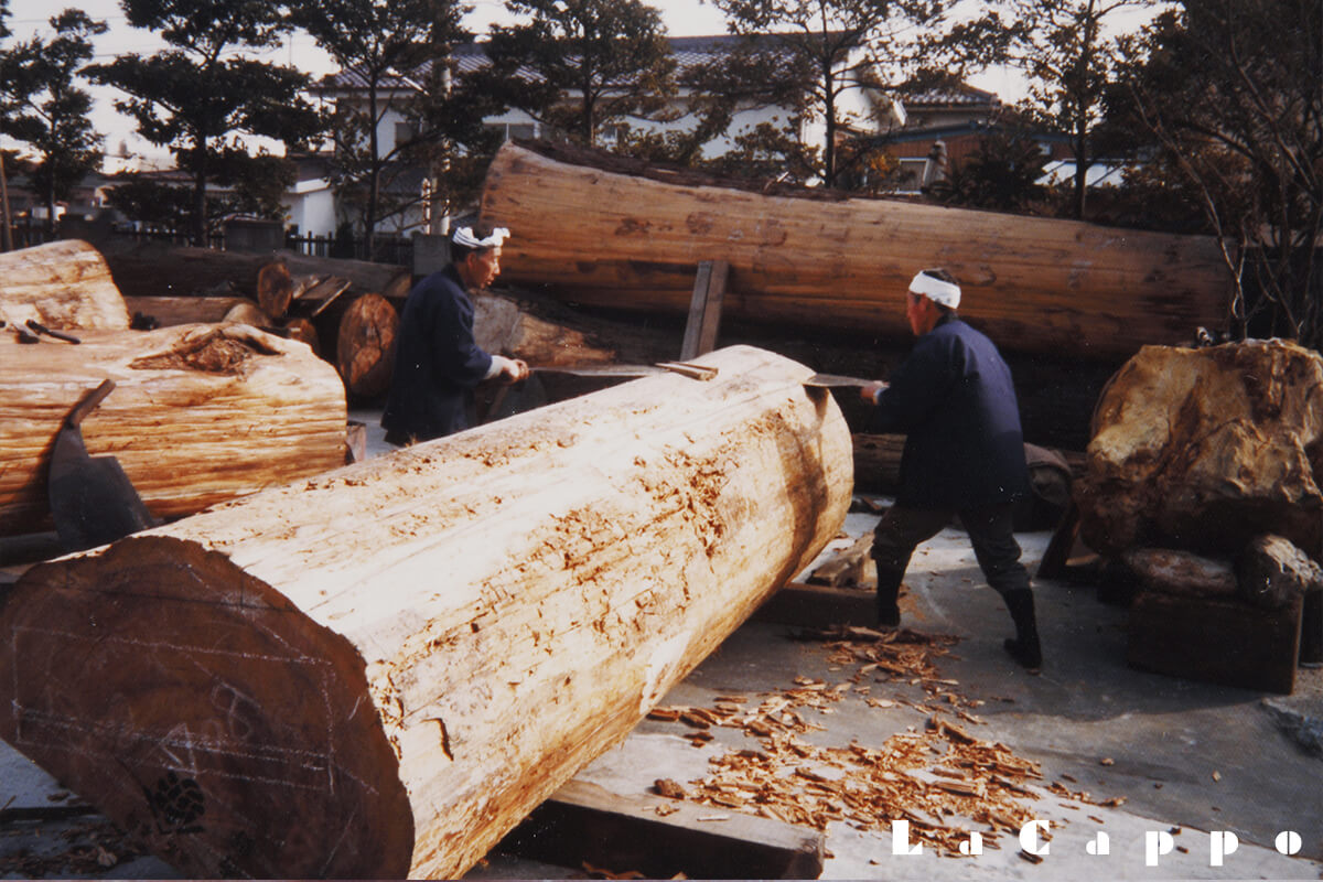 昭和62年に撮影した日光杉（東照宮林）の木挽